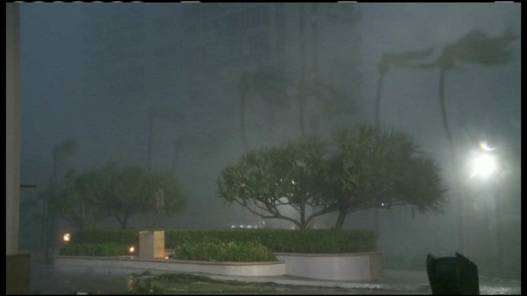 Article 132702 Thumbnail