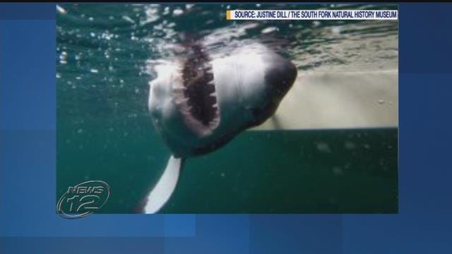 Article 113358 Thumbnail