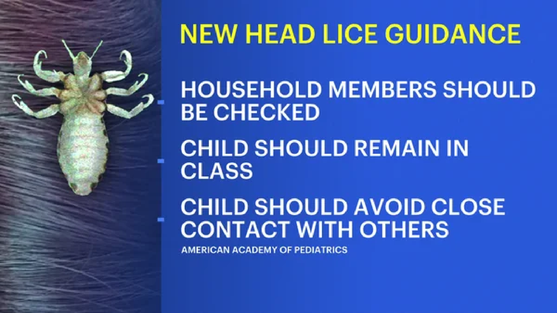 Kids with head lice shouldn’t be sent home from school, new guidance