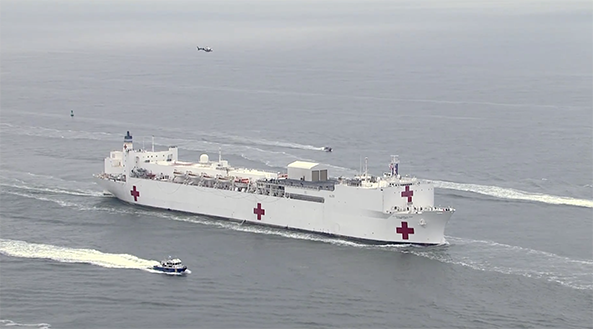 Article 23078 Thumbnail