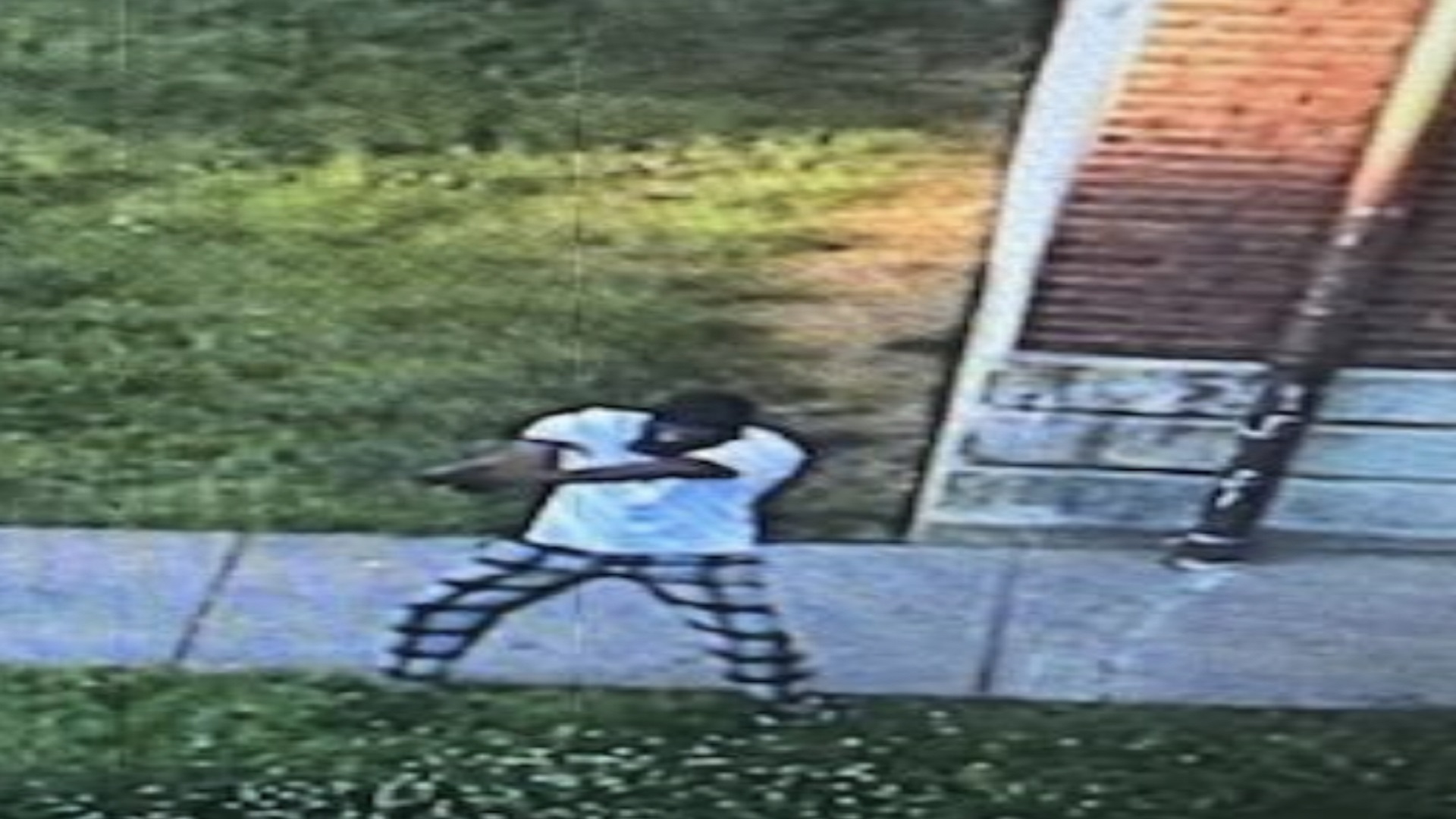 Article 295187 Hero Image