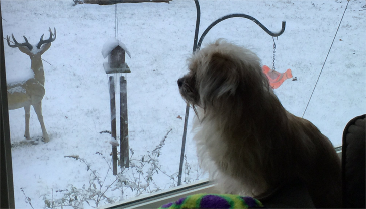 Article 29808 Thumbnail