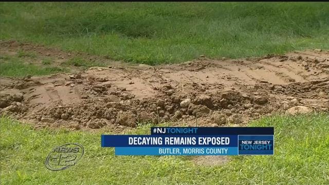 Workers unearth buried jersey, Local Sports News