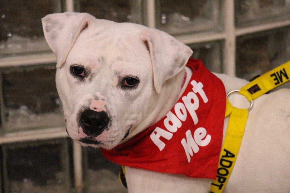 Article 121767 Thumbnail