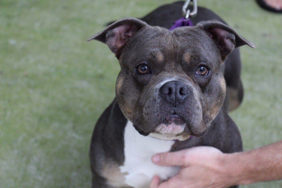 Article 126399 Thumbnail