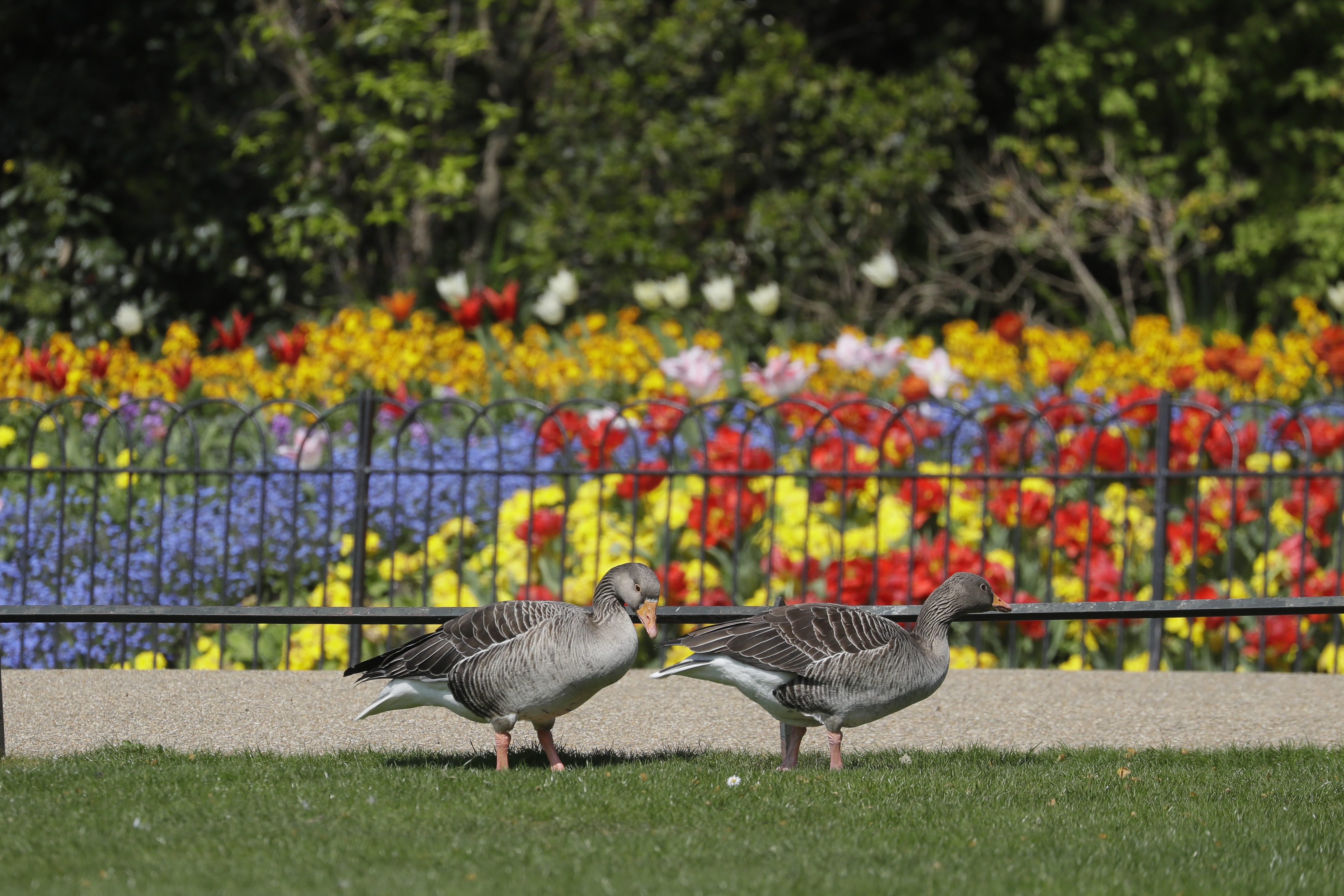 Article 255716 Hero Image