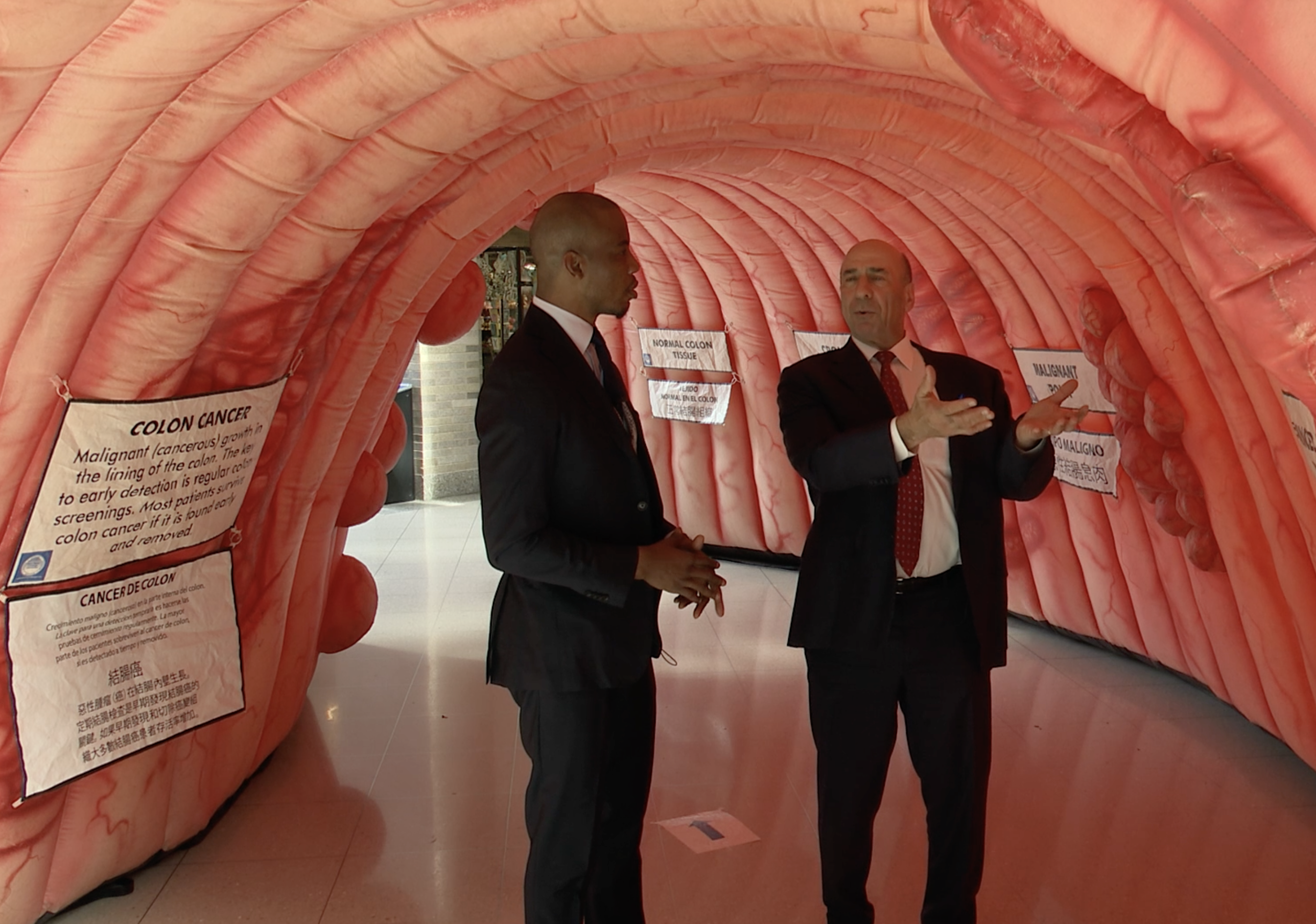 6875ed82-db7a-41e7-ad1a-9cf0d7f9eab6