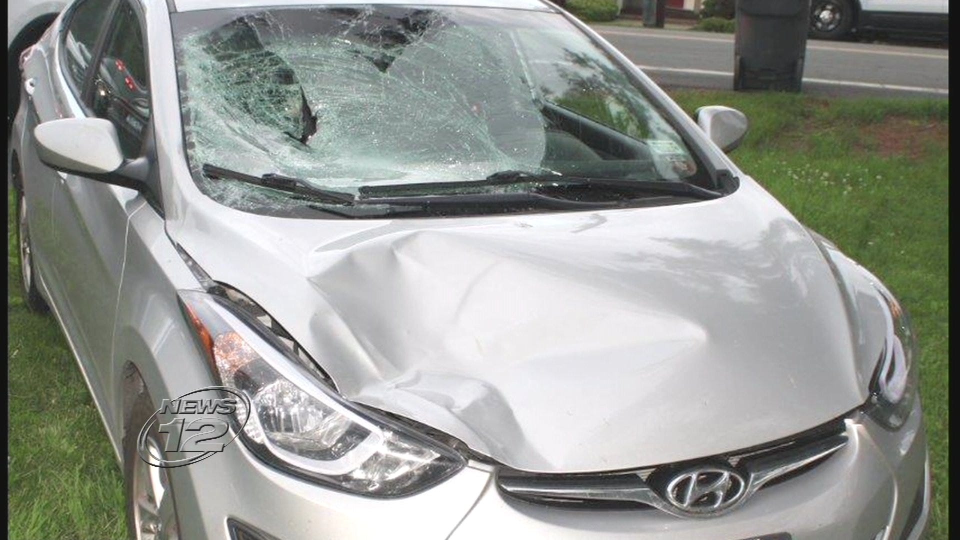 Article 117219 Thumbnail