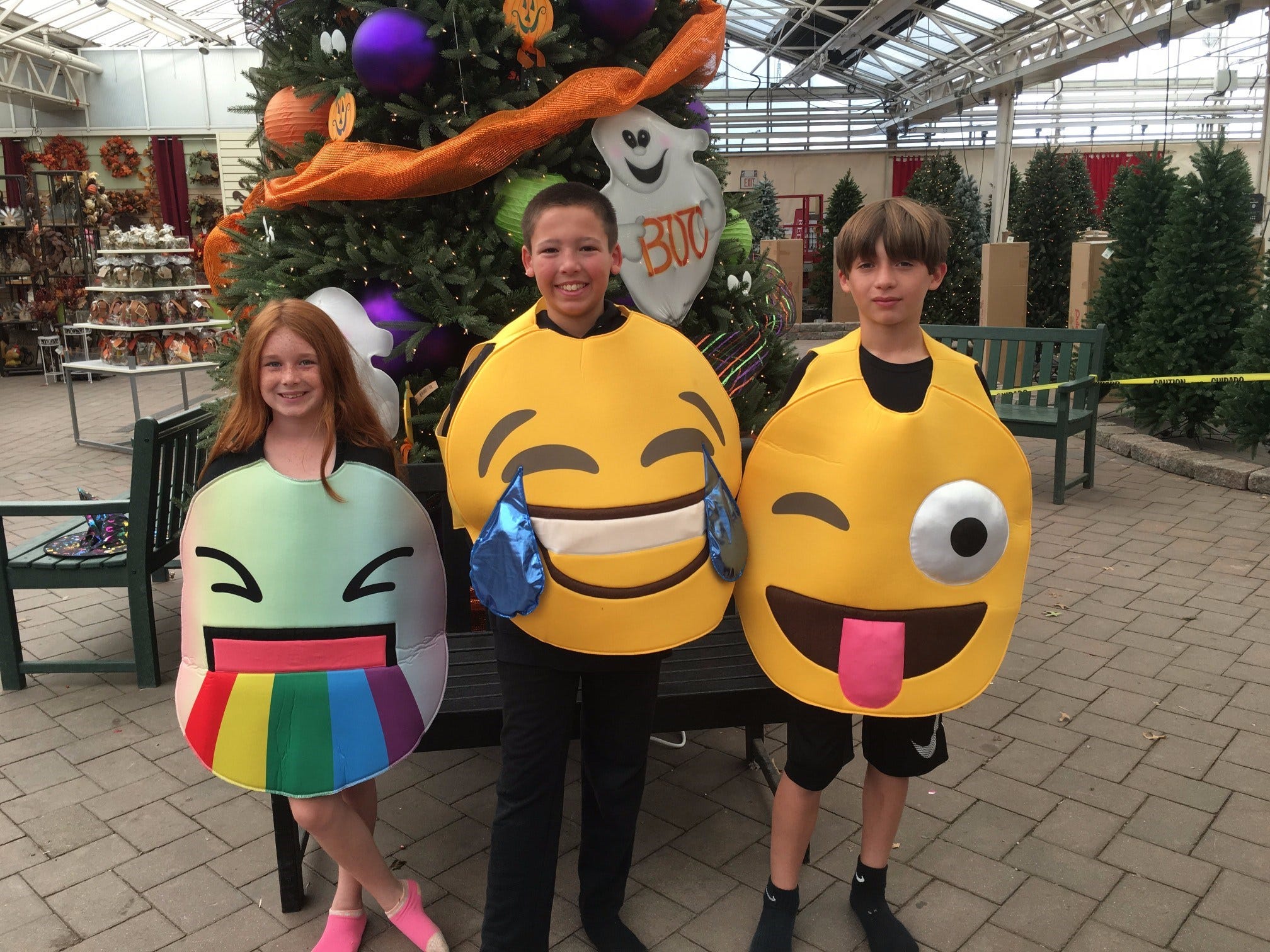 Article 134238 Thumbnail