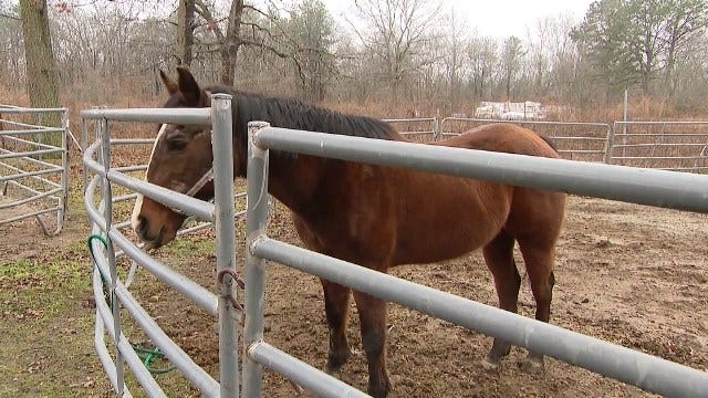 Article 118169 Thumbnail