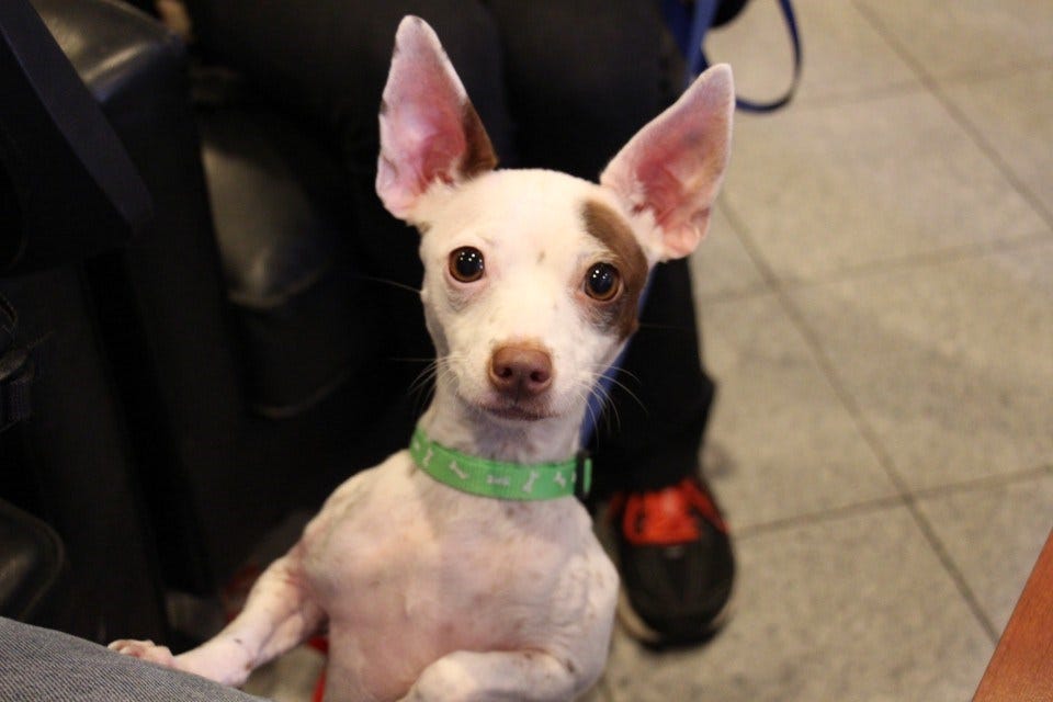 Article 113972 Thumbnail