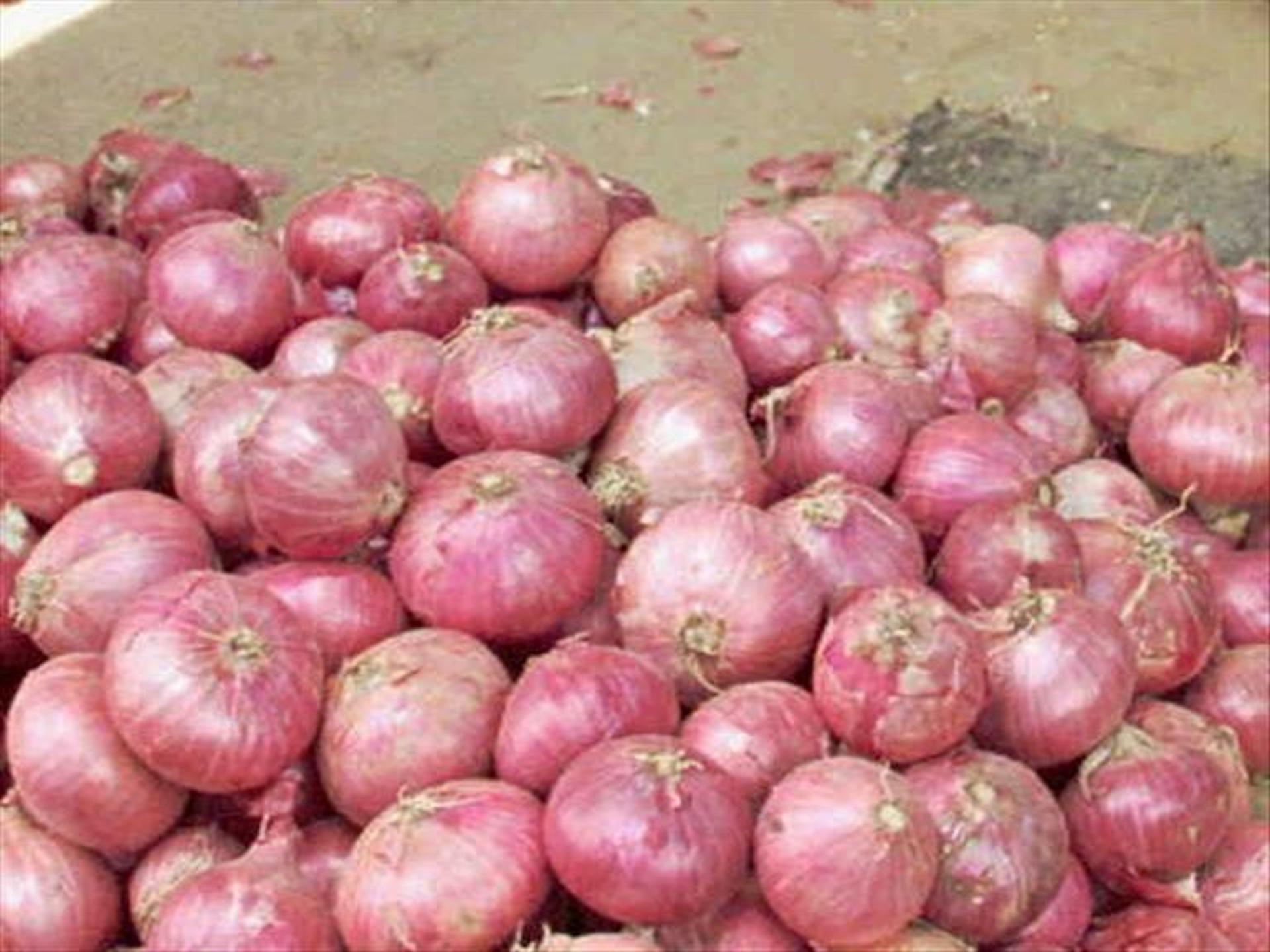 Article 275419 Hero Image