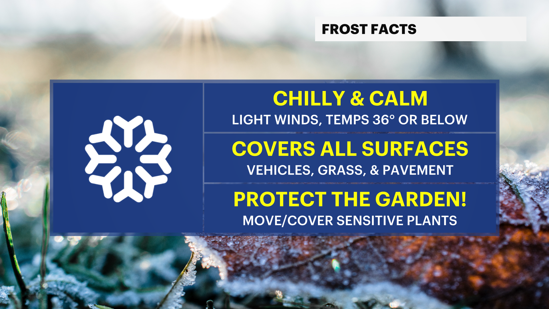 Mike's Weather School: How does frost form?