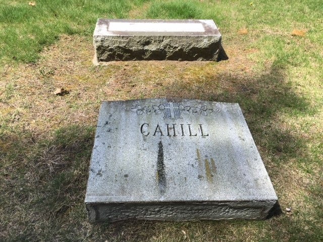 Article 126481 Thumbnail