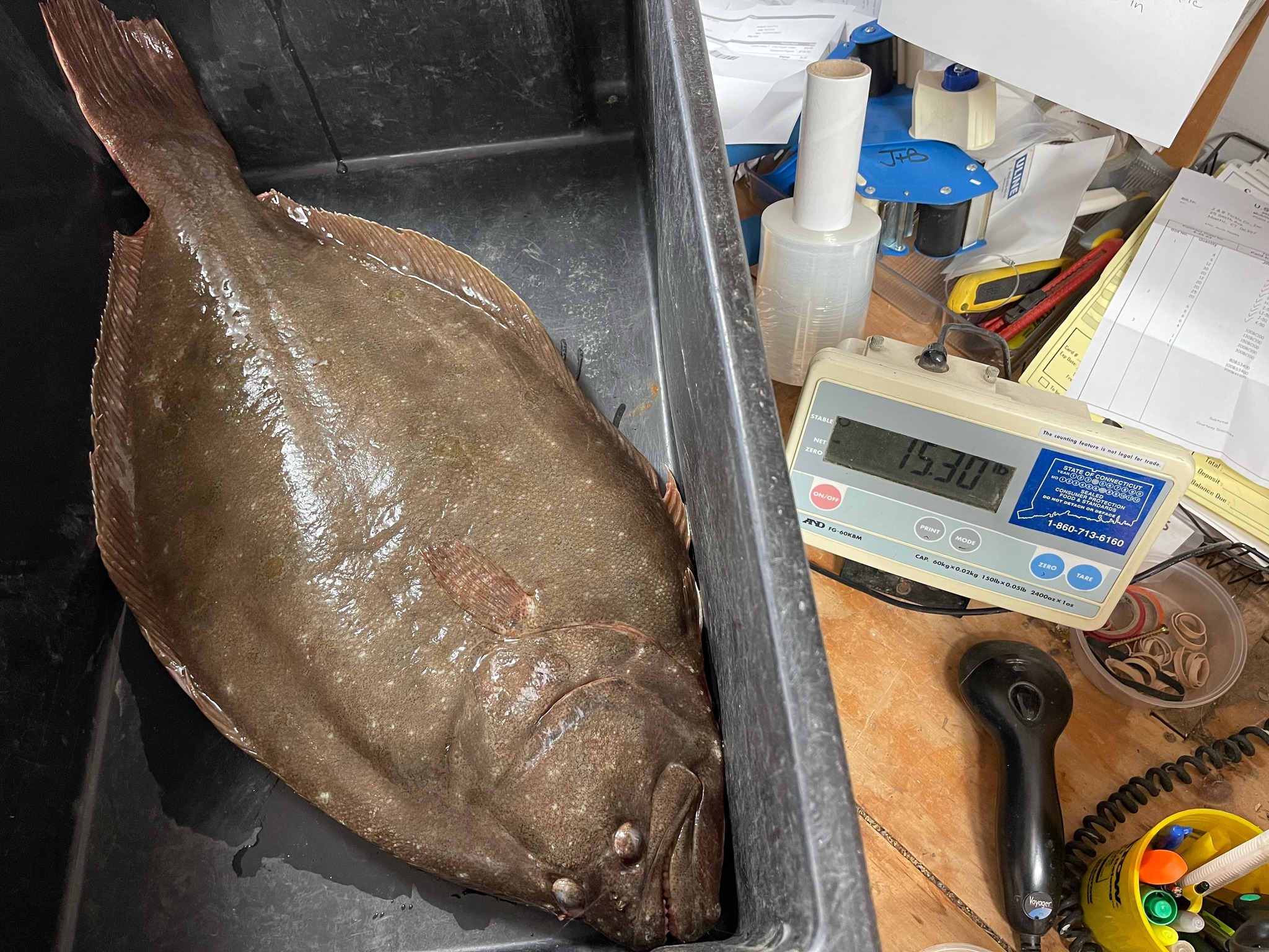 News 12 | Connecticut | Connecticut Man Breaks State Record After