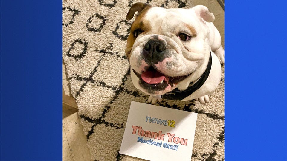 Article 22235 Thumbnail