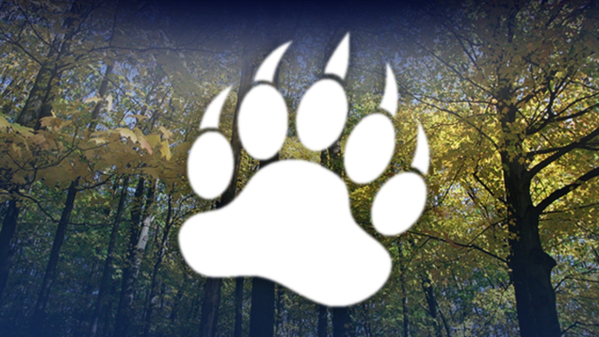 Article 106695 Thumbnail