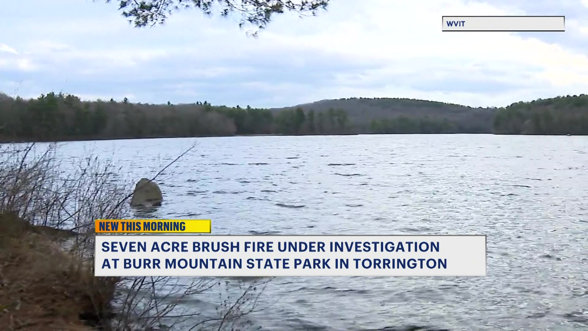 Burr_2026-04-15-07-04-20