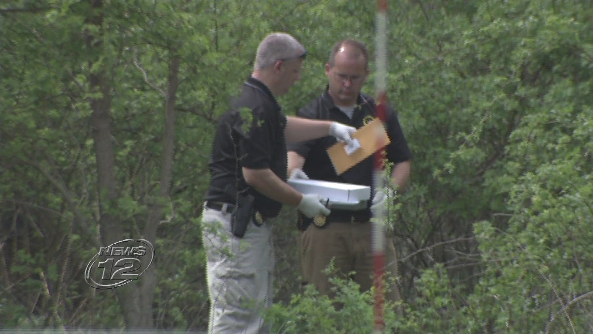 Article 116390 Thumbnail