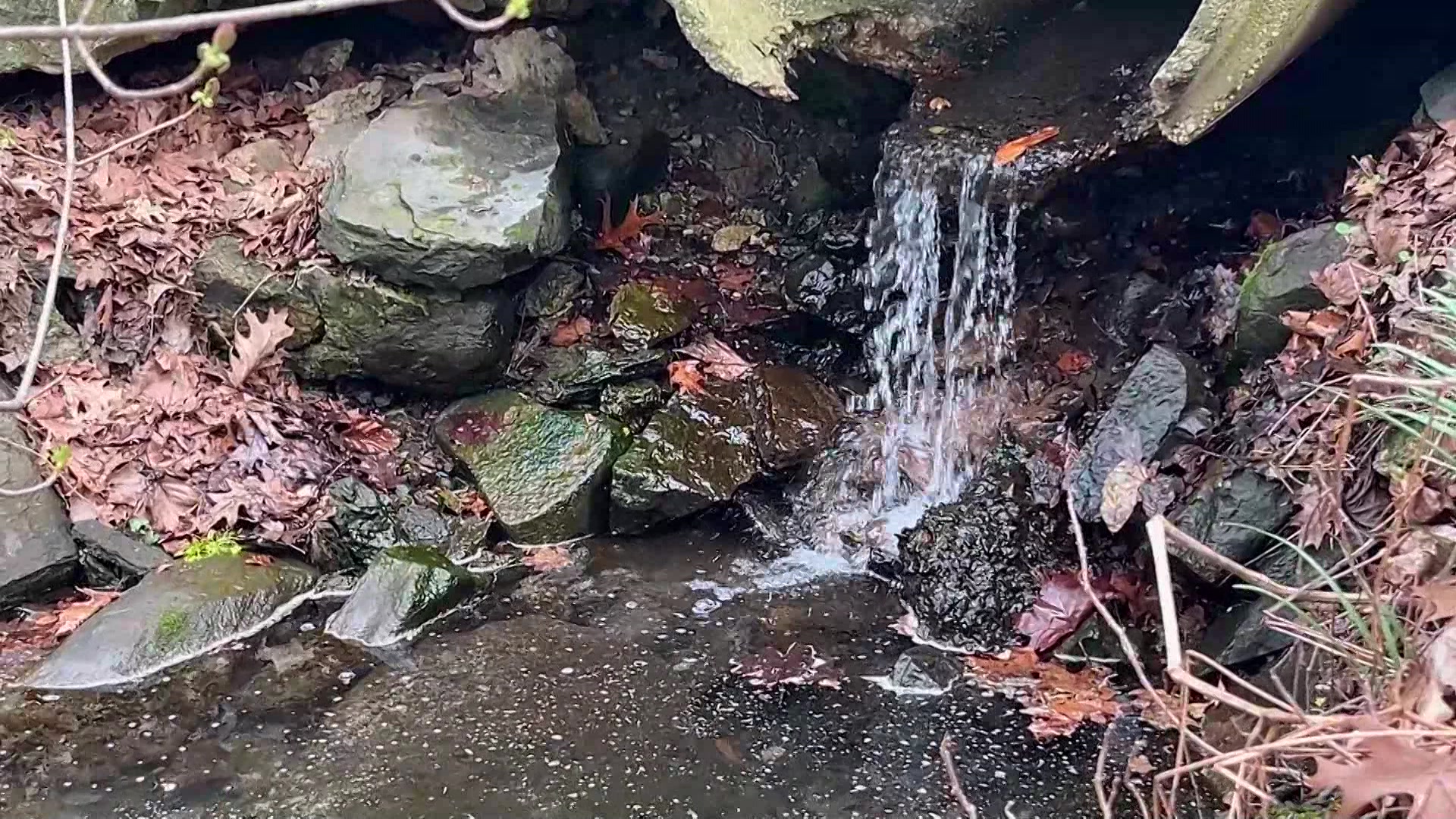 0413mtvernonsewage_2026-04-13-22-07-57