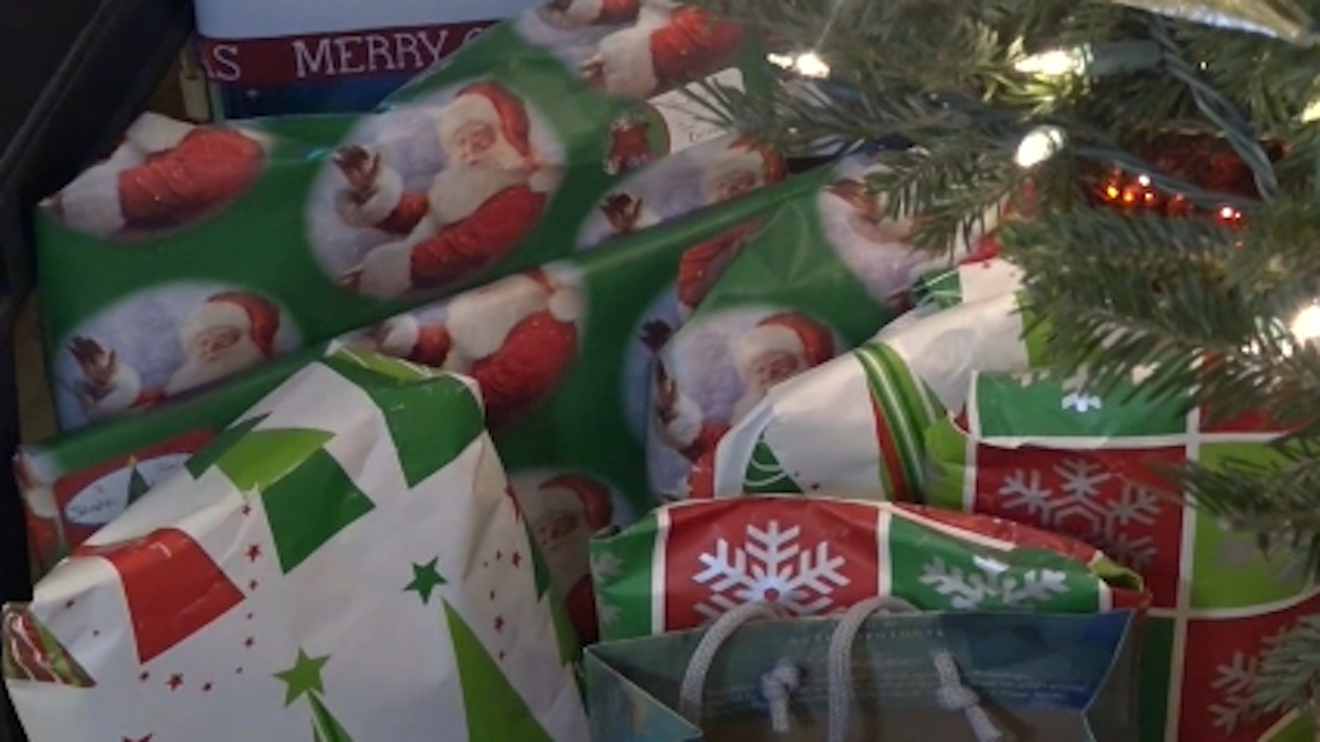 Article 247214 Thumbnail