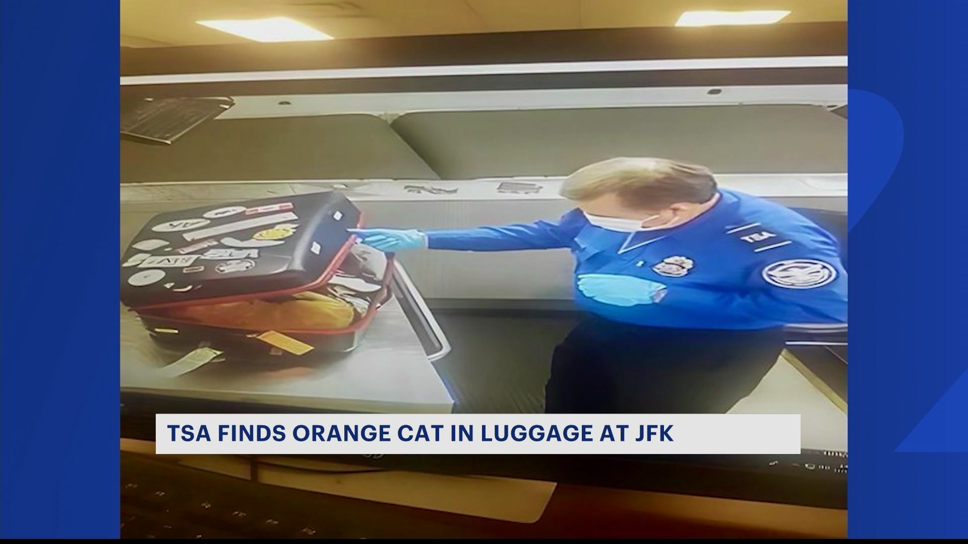 WHAT’S HOT: Cat found in luggage at JFK Airport