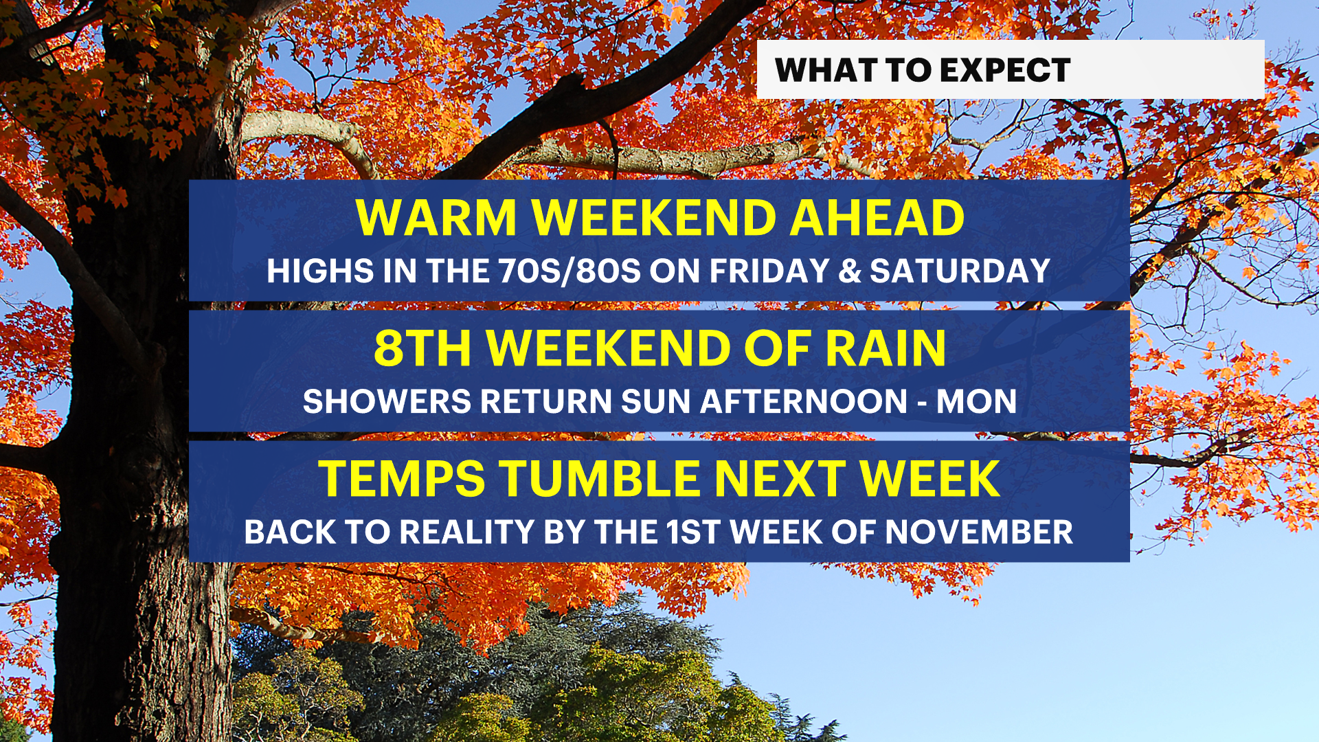 Mostly sunny and mild conditions; warmer days ahead for New York City