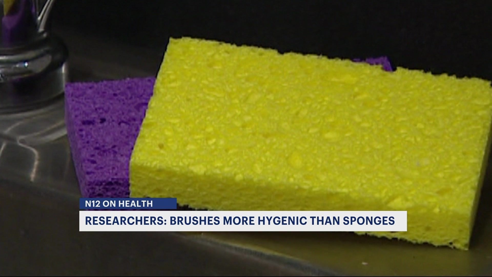 Kitchen sponges are hidden bacteria havens