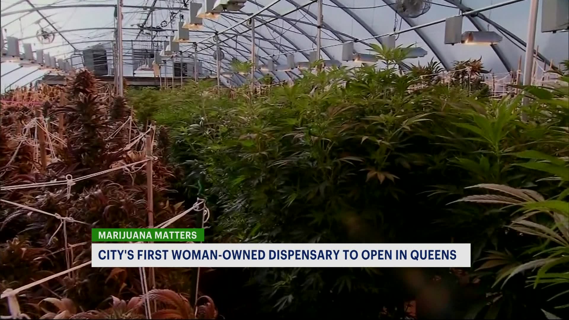 NYC's 1st womanowned marijuana dispensary to open in Queens