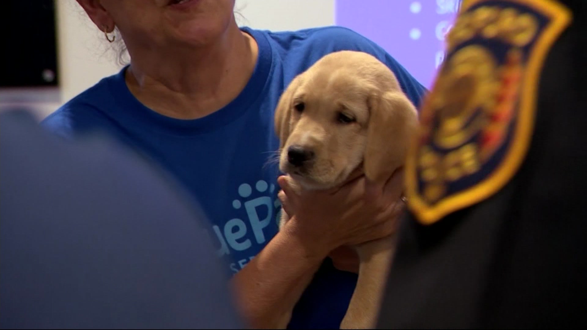 Bedford Police Department welcomes new service dog