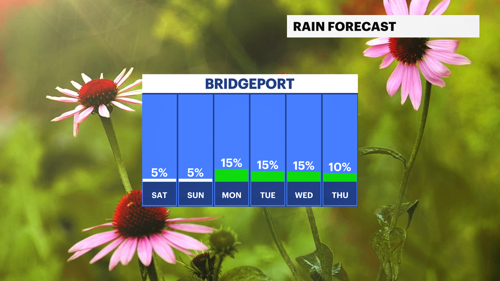 News 12 | Bronx | Storm Watch Heavy Rain And Gusty Winds To Make Mess ...