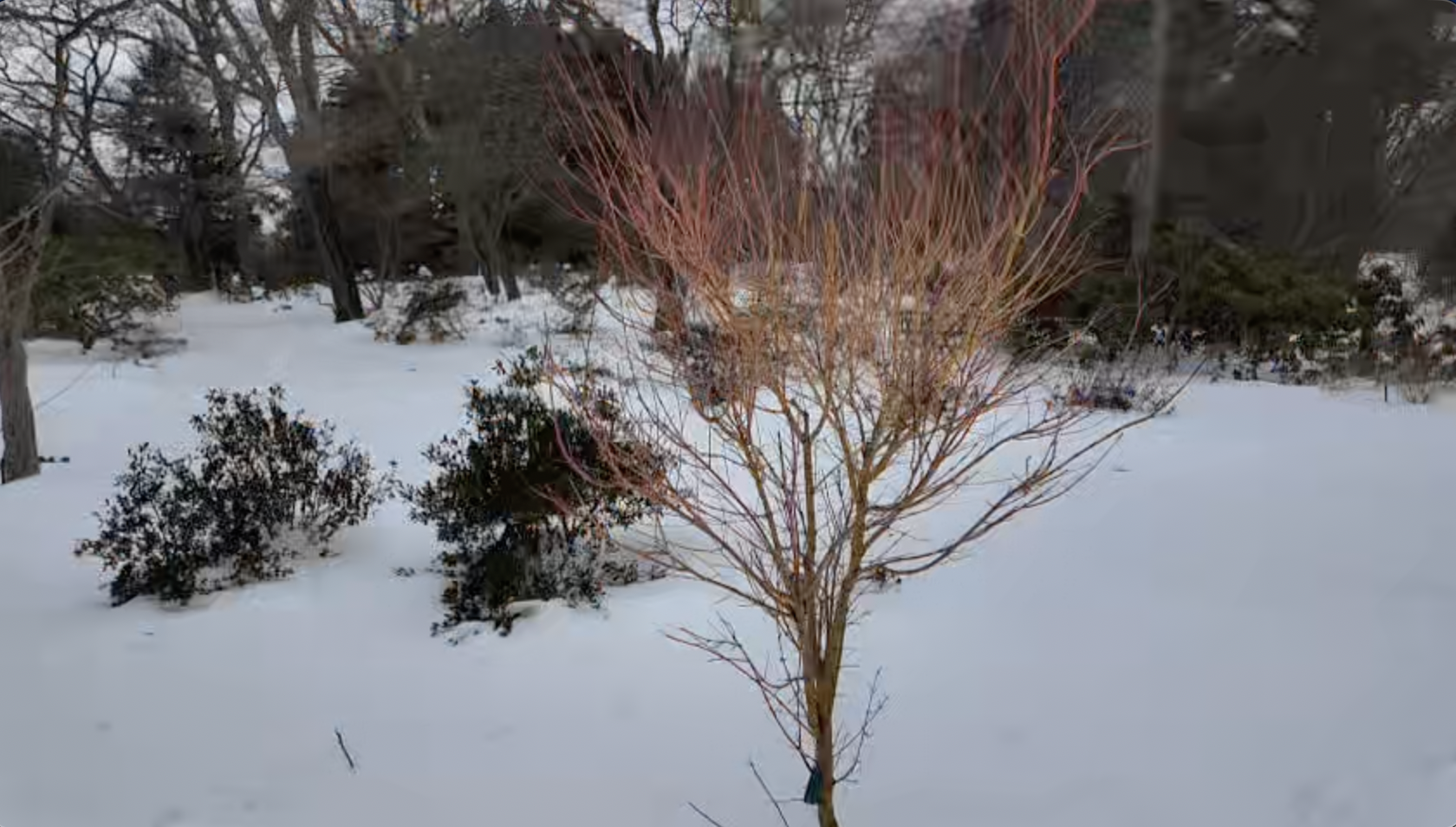 Screenshot 2026-02-17 at 10.08.08 AM.png