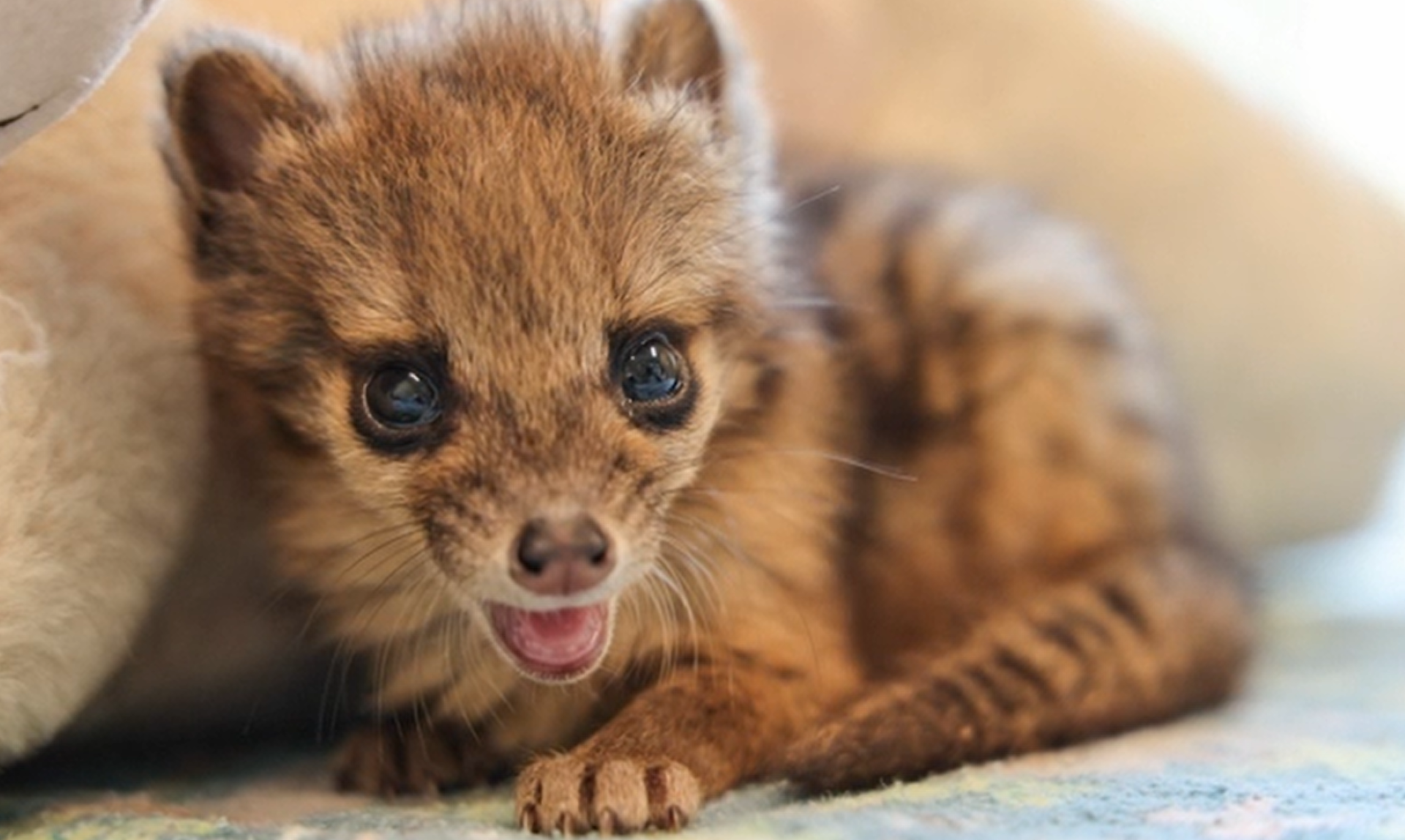 Article 293941 Hero Image