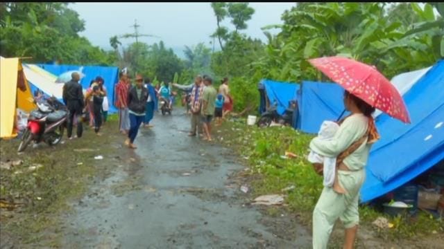 Article 153455 Thumbnail