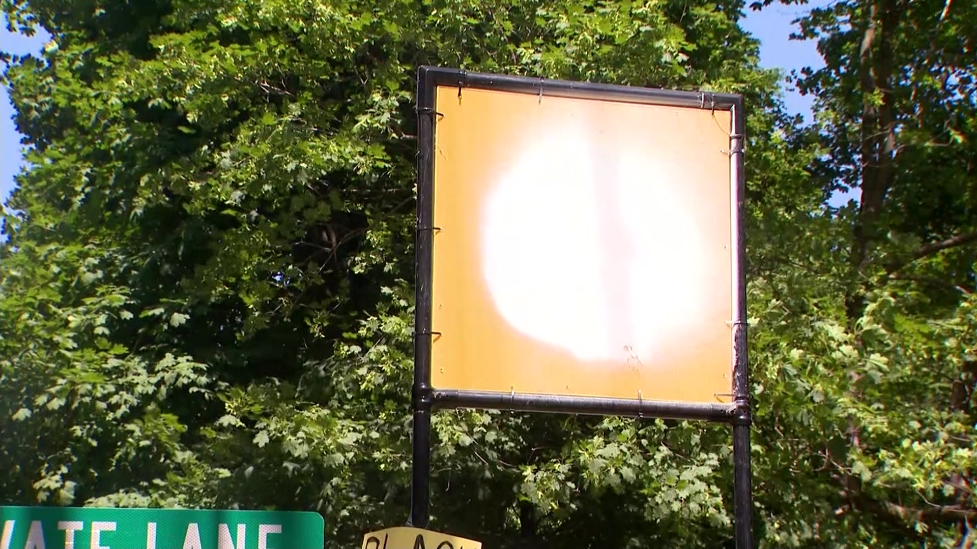 Article 262244 Thumbnail