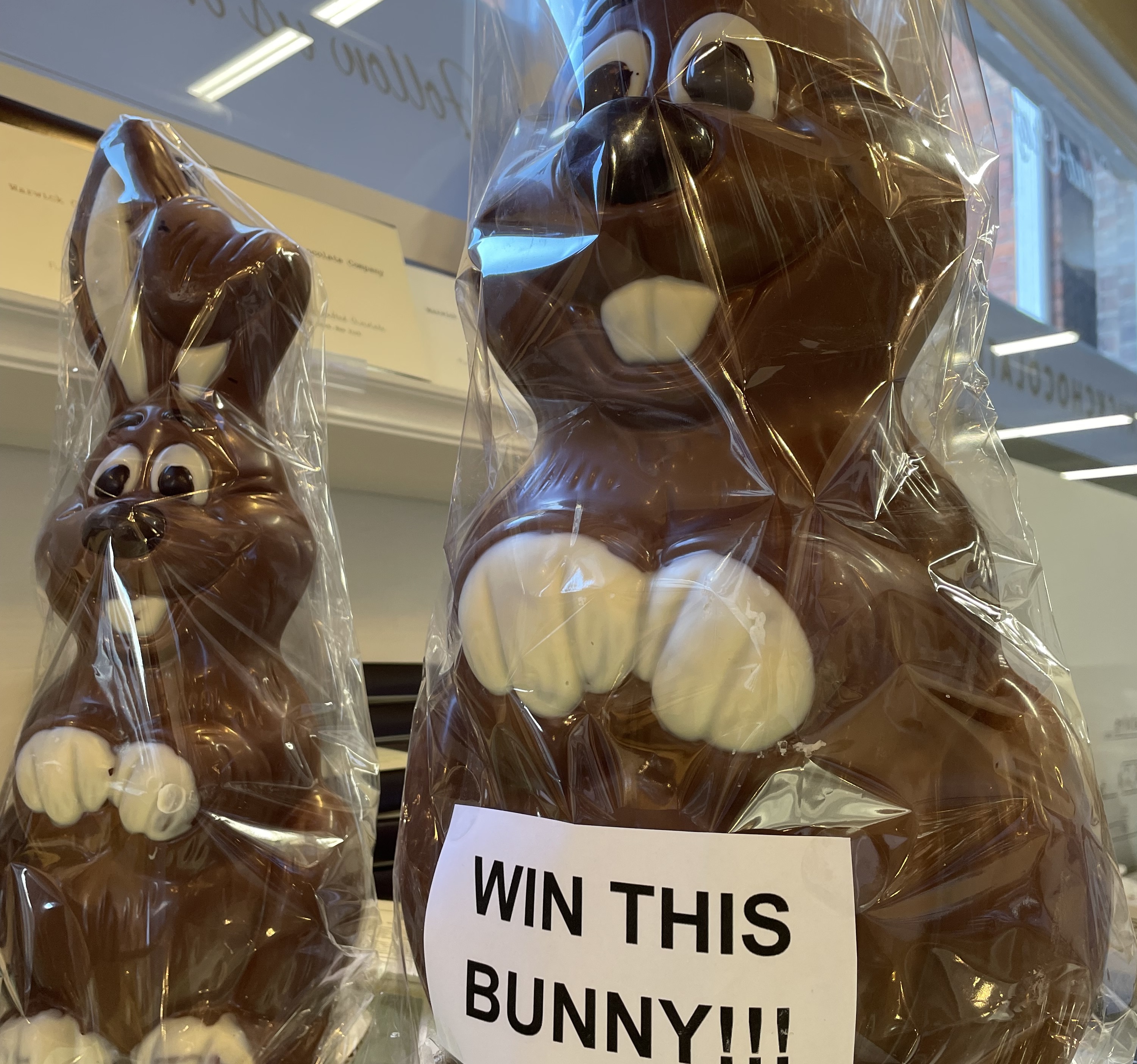 chocolate bunnies for warwick FD