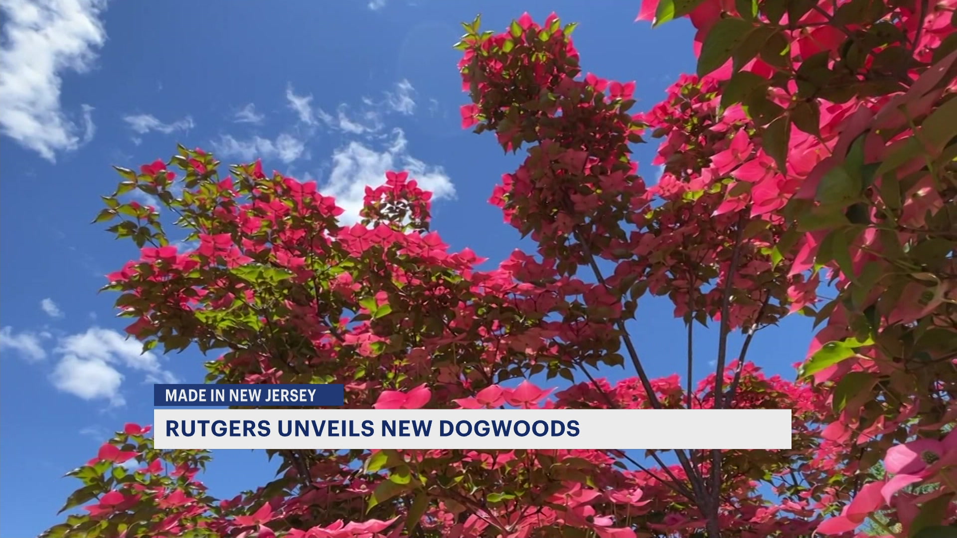 622025NJminj_2025-06-02-08-01-36