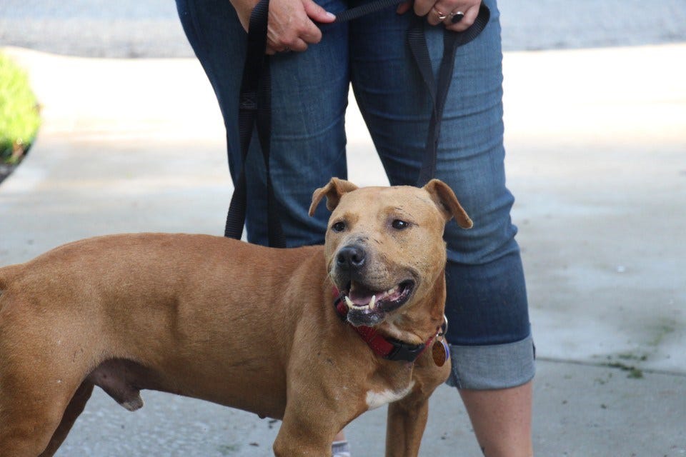 Article 138969 Thumbnail