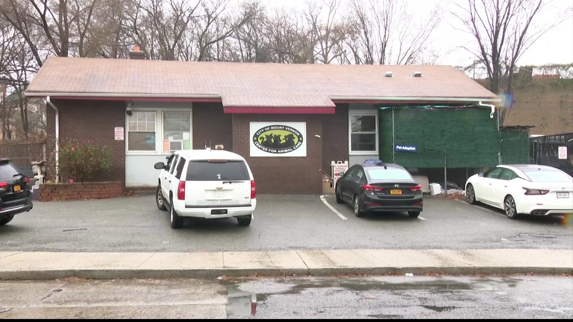 Mount Vernon Animal Shelter to close its doors