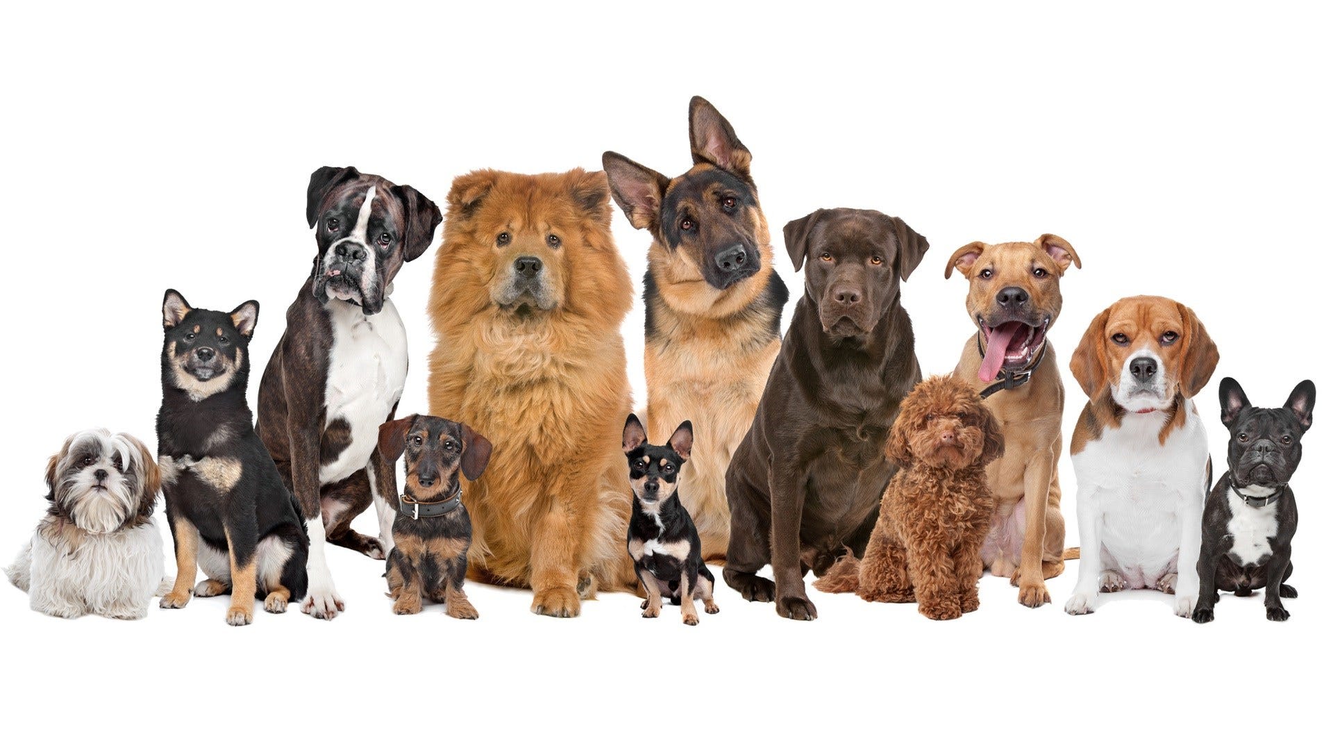 Article 47711 Thumbnail