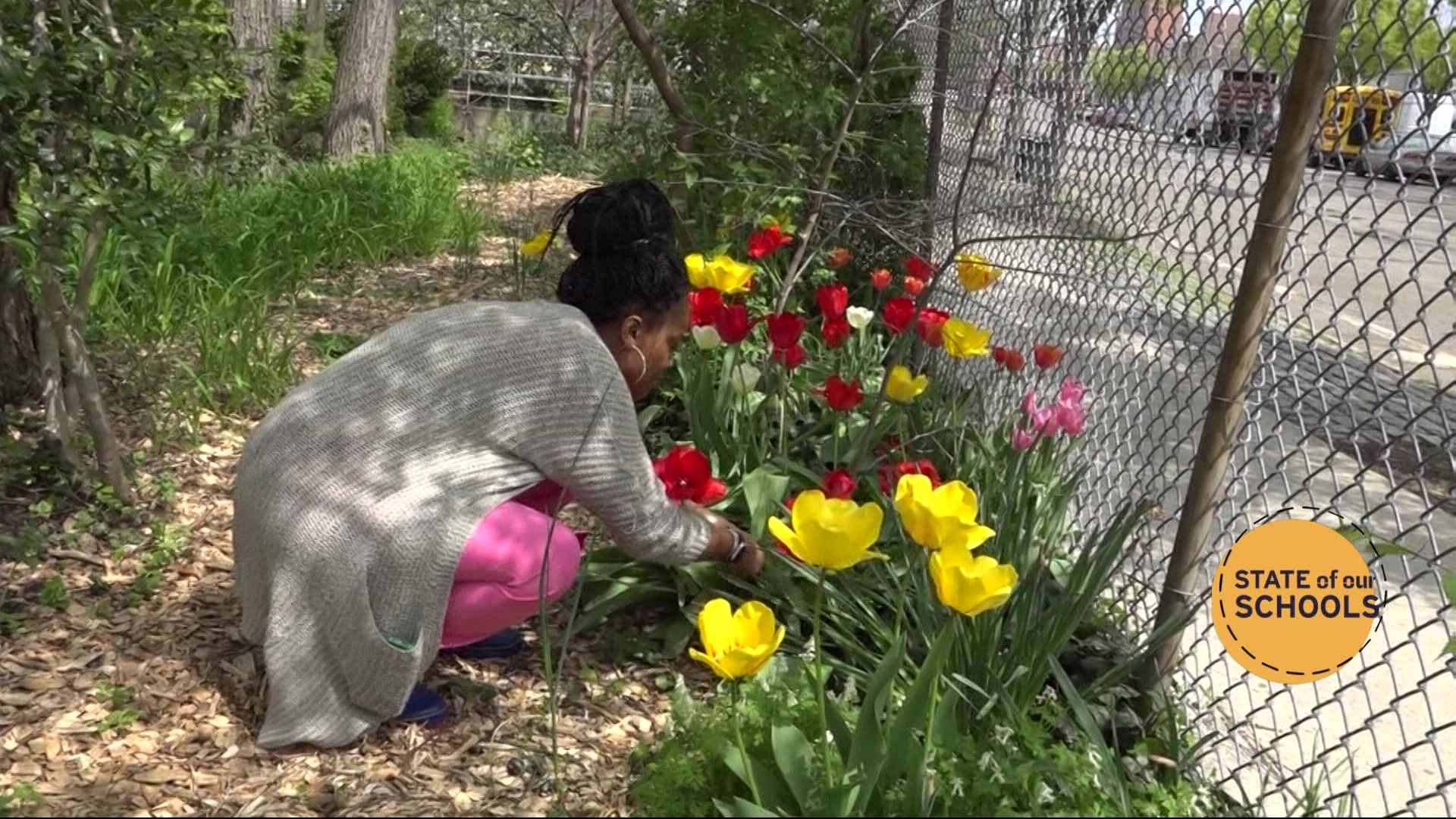 Article 259013 Thumbnail