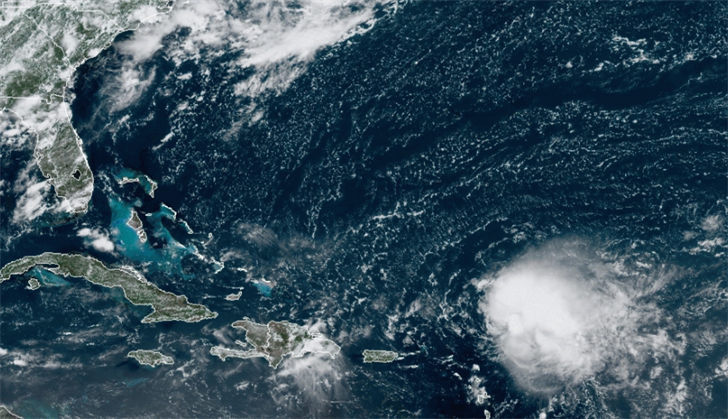 Article 11322 Thumbnail