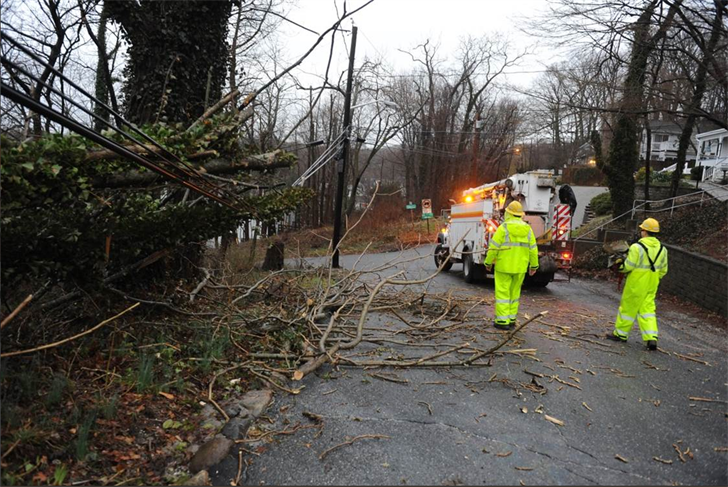 Article 117867 Thumbnail