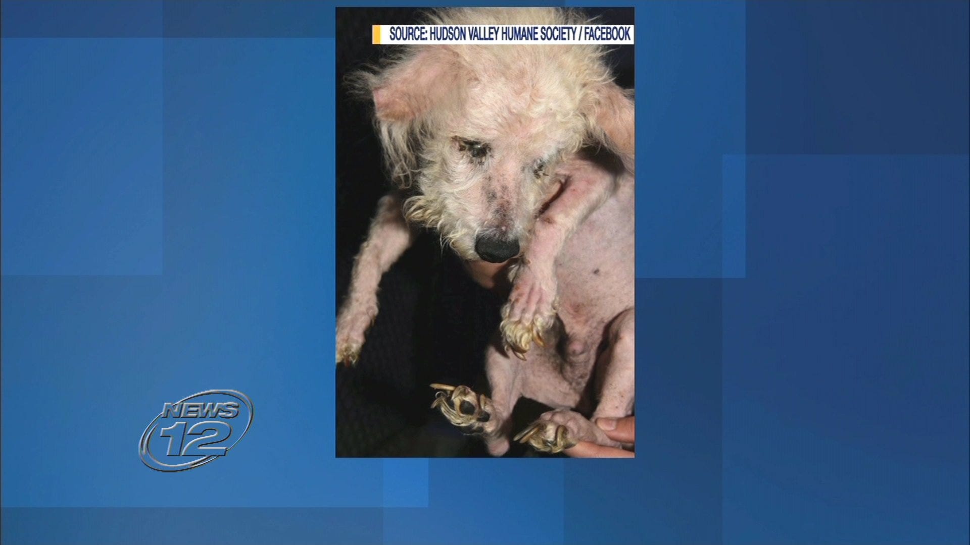 Article 114413 Thumbnail