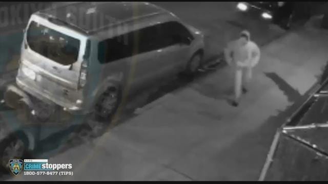 Article 32808 Thumbnail