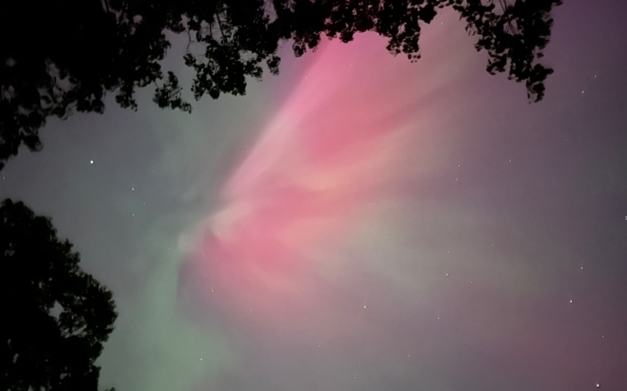 Lyn Kobsa, Wilton CT.PNG