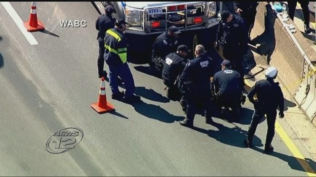 Article 108038 Thumbnail