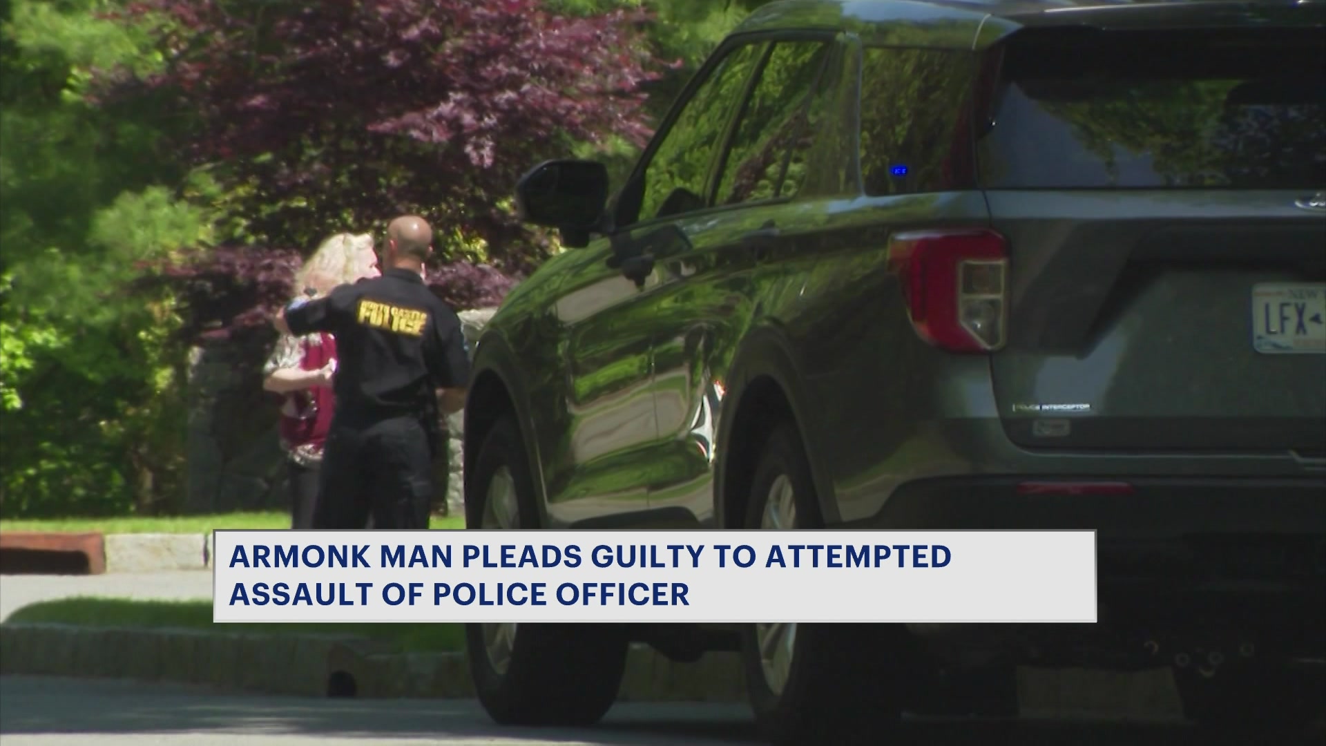 4102026ARMONKASSAULTGUILTYPLEA_2026-04-10-05-39-48