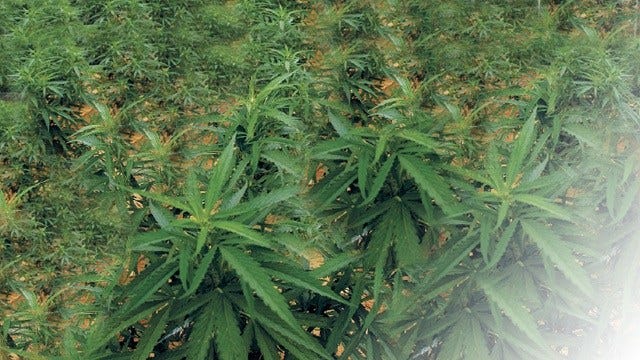 Article 34321 Thumbnail