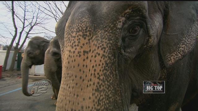 Article 139297 Thumbnail